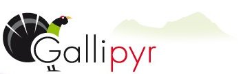 logo Gallipyr